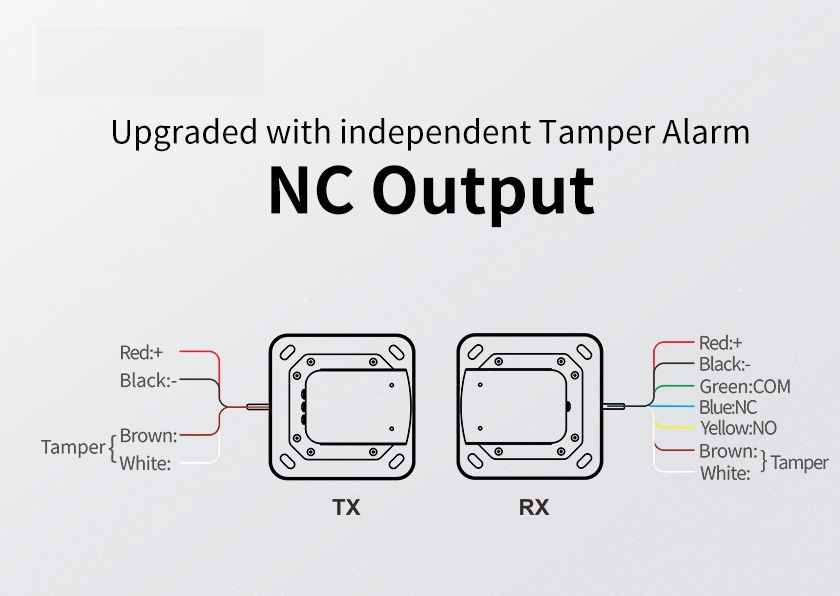 画板 1 拷贝 2.jpg